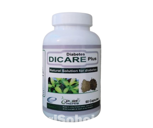 Dicare Plus